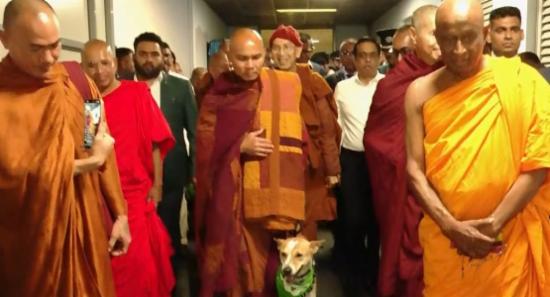 Ven. Pannakara Thero Arrives in SL with “Aloka”